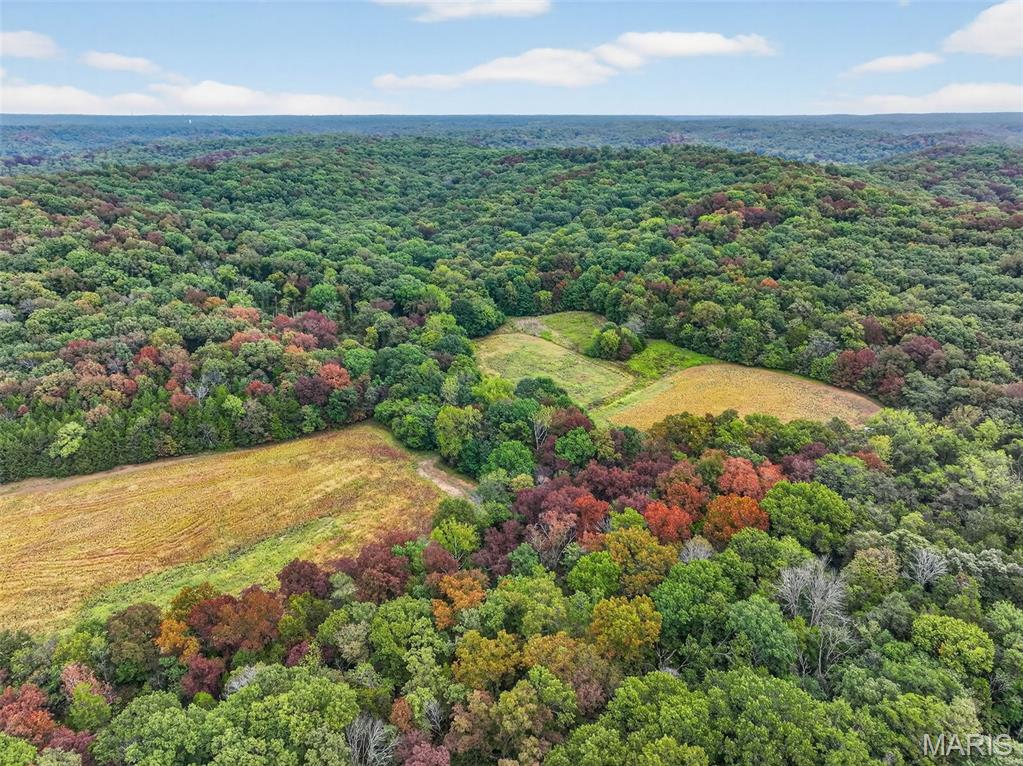 127-ac 127-ac Circle Marthasville, MO 63357 - Photo 3 of 45