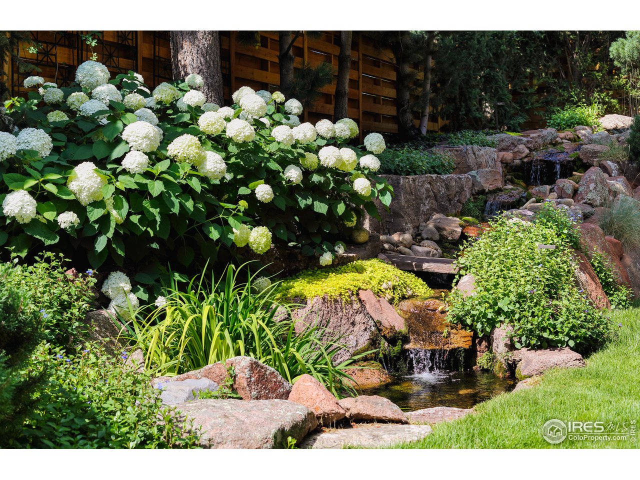 2088 Alpine Dr. Boulder, CO 80304 - Photo 35 of 37 a picture of flowers