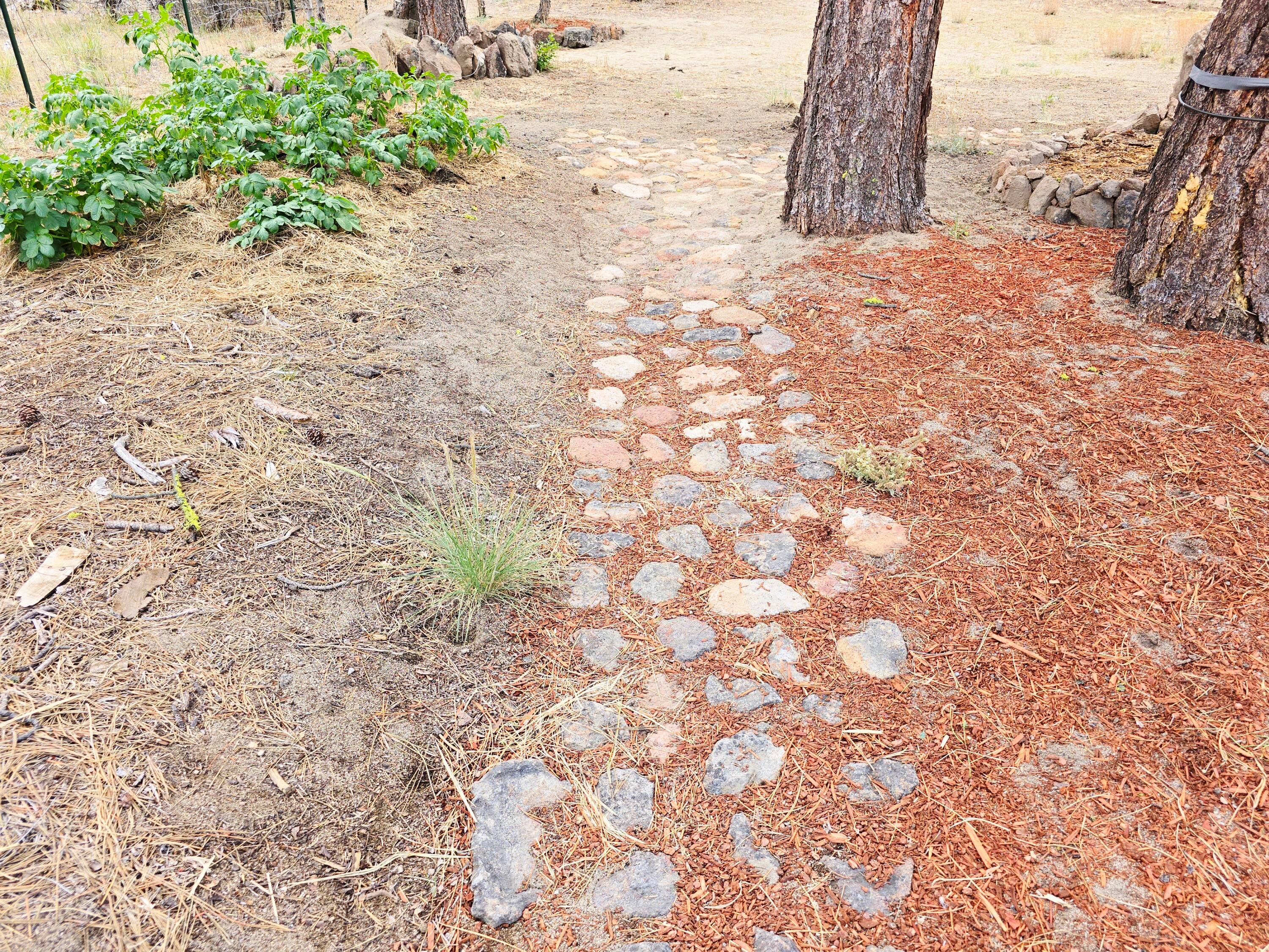 48070 Partin Drive Beatty, OR 97621 - Photo 10 of 29 Walking path