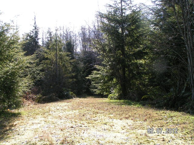 791 Farrington Road Port Angeles, WA 98363 - Photo 1 of 1 Gallery Image 1