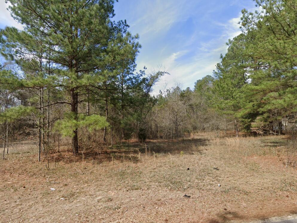 0 Jackson Road Warrenville, SC 29851 - Photo 1 of 1 Gallery Image 1