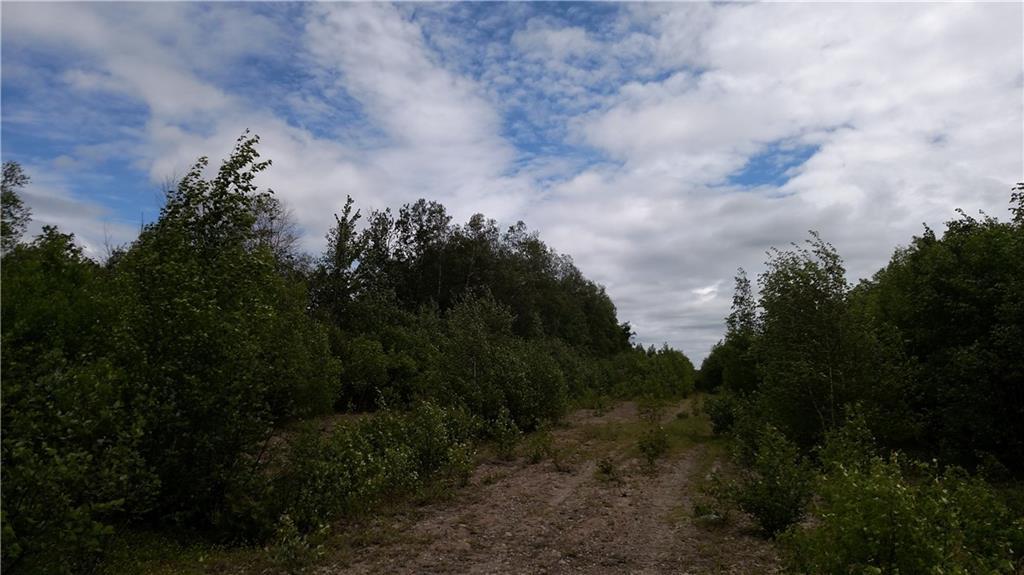 Lot U Rte Marion Twp Me 04628 Route Dennysville, ME 04628 - Photo 3 of 6 Photo