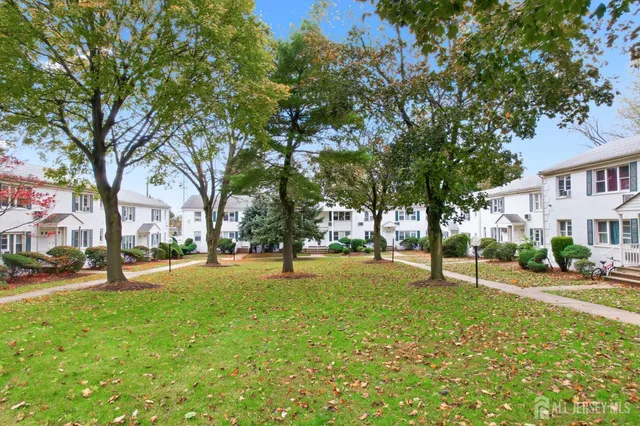 a view of a trees in a park