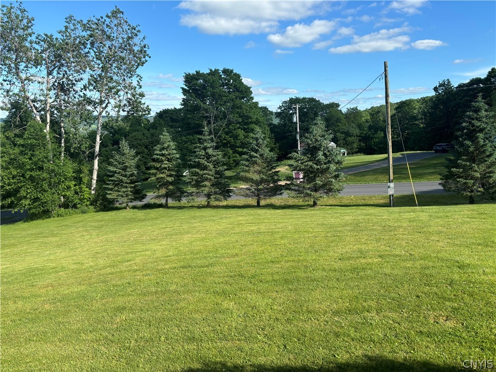 1813 O'Shea Road Homer, NY 13077 - Photo 39 of 41