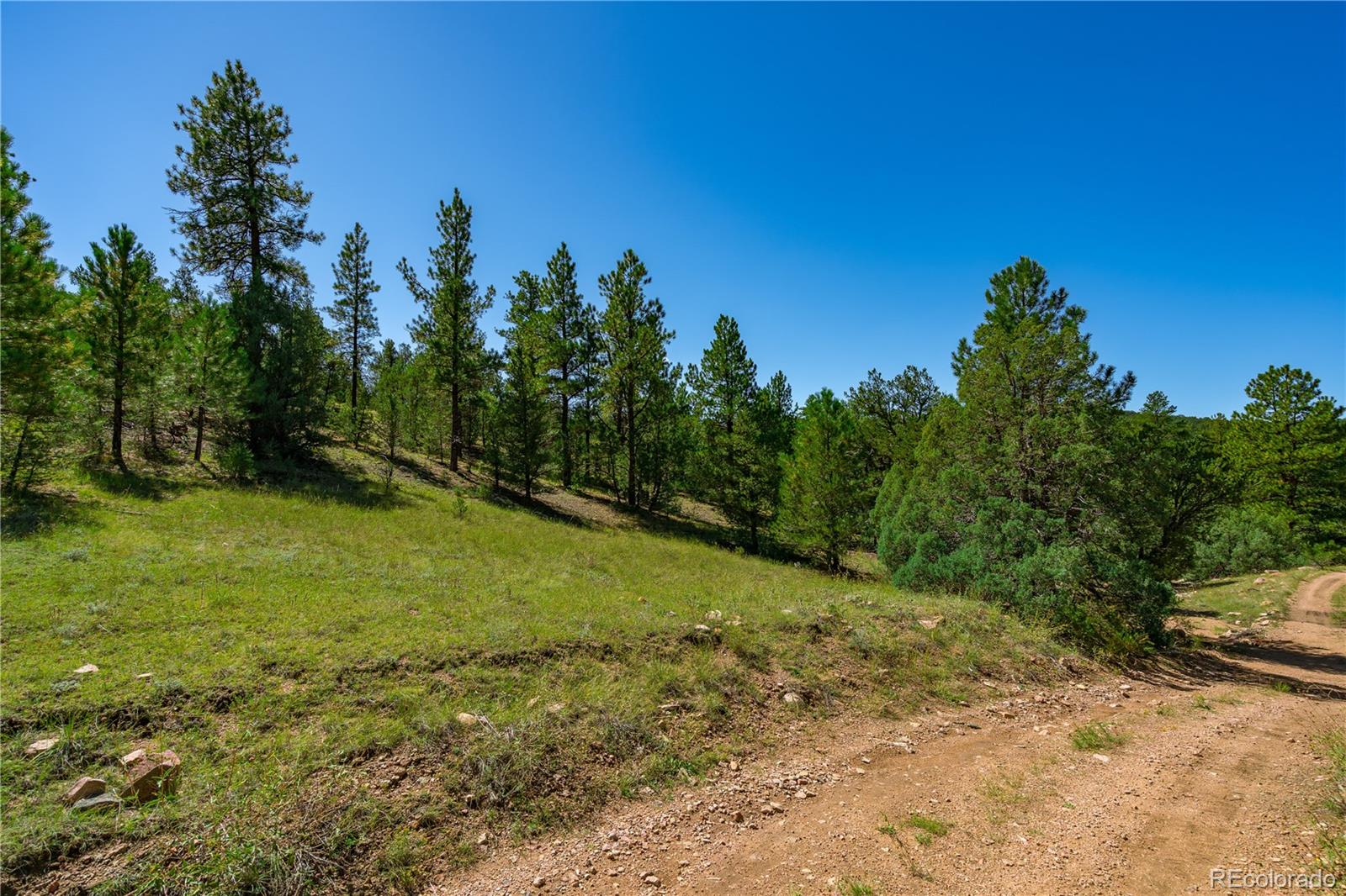 Lot 9 Sundance Road Cotopaxi, CO 81223 - Photo 14 of 32 a view of a field with trees in the background