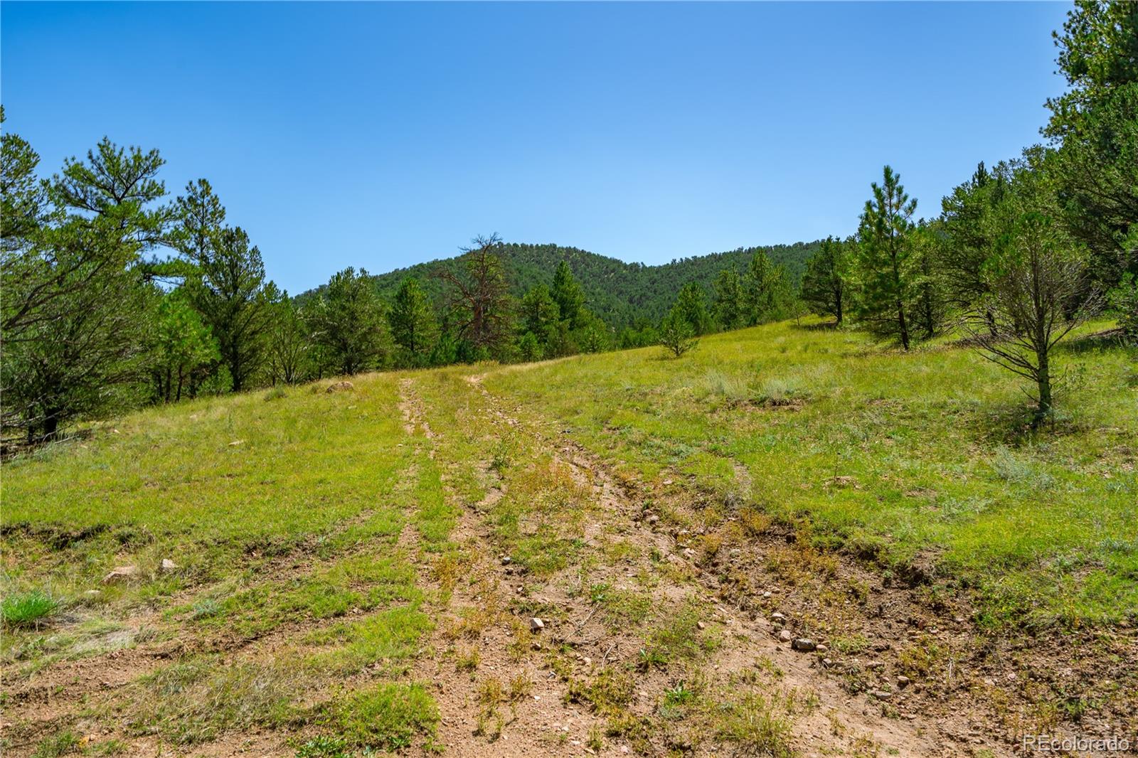 Lot 9 Sundance Road Cotopaxi, CO 81223 - Photo 15 of 32 a view of an outdoor space and a yard