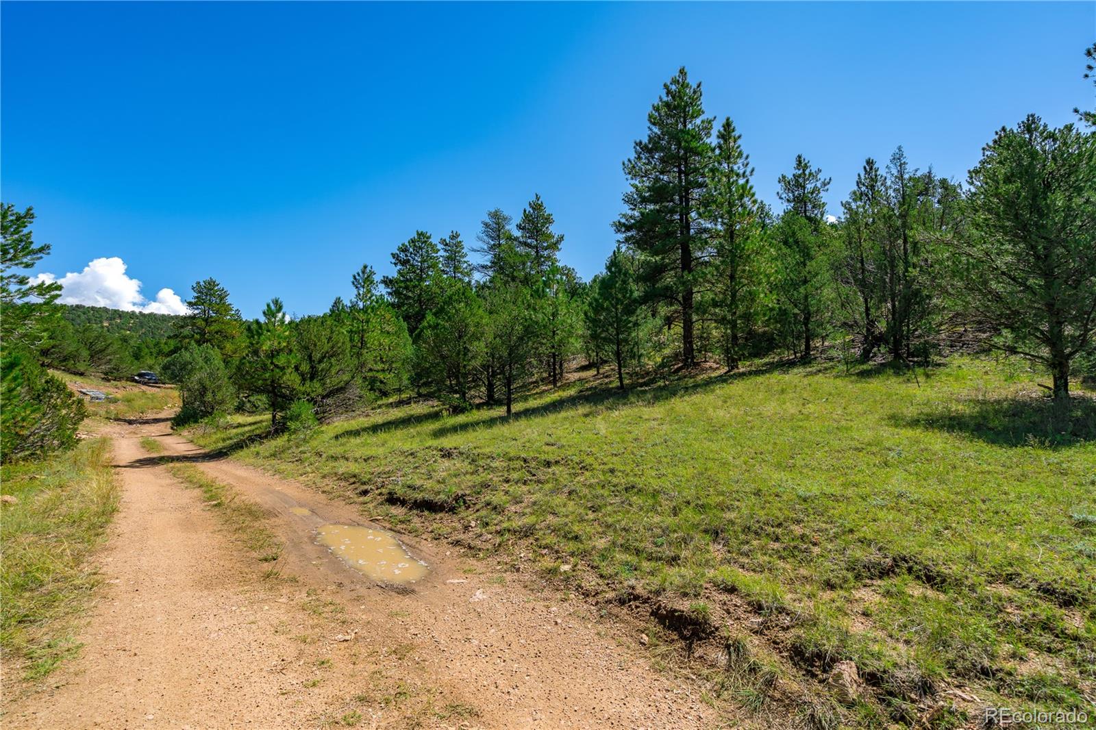 Lot 9 Sundance Road Cotopaxi, CO 81223 - Photo 19 of 32 a view of a yard with a tree