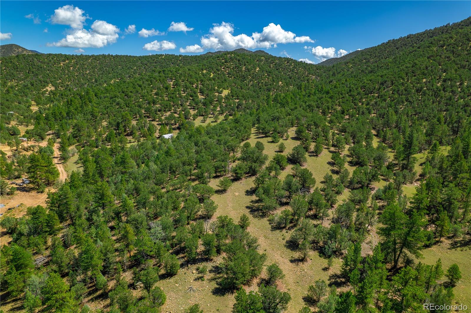 Lot 9 Sundance Road Cotopaxi, CO 81223 - Photo 29 of 32 a view of a big yard with lots of bushes