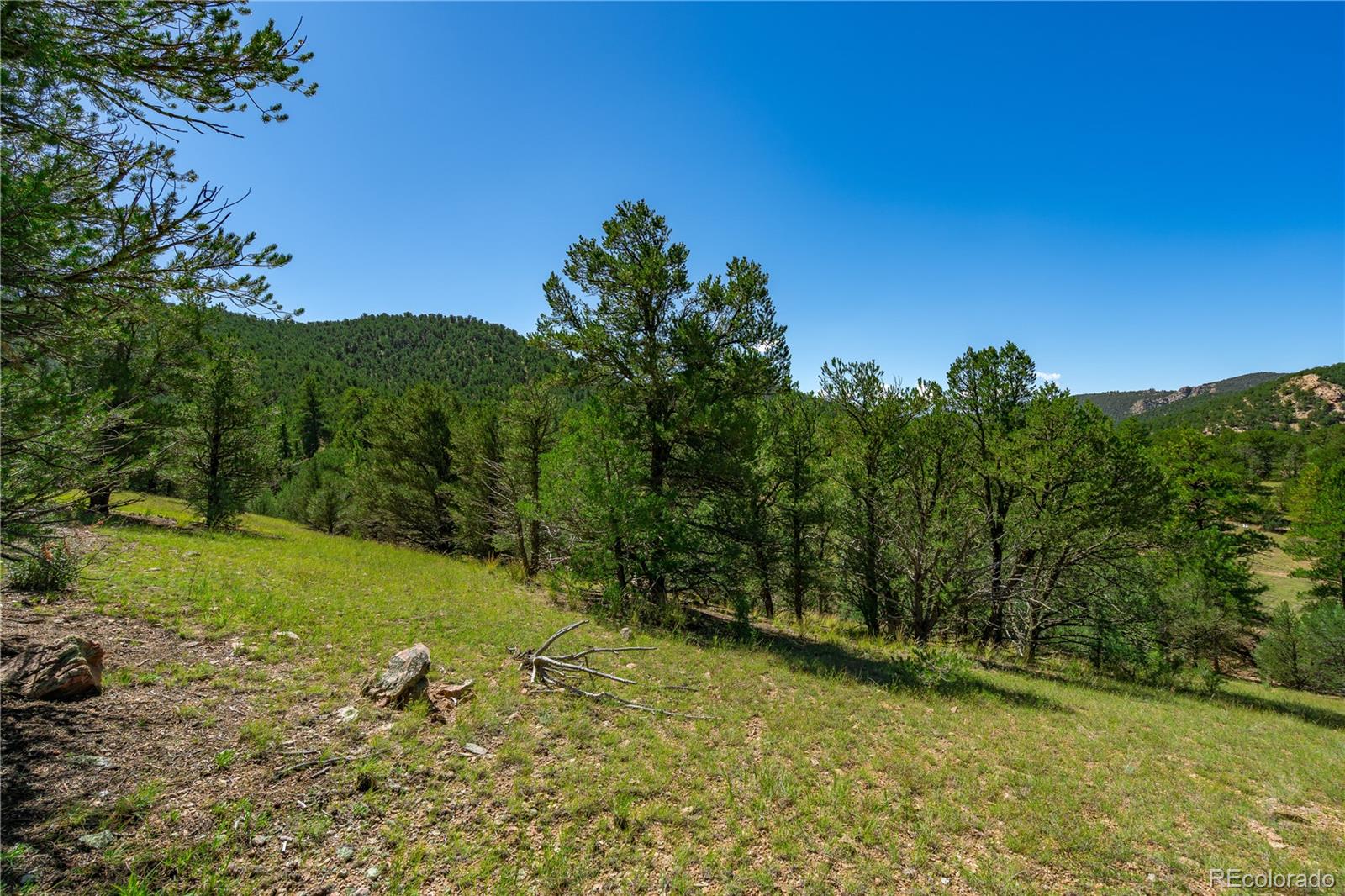 Lot 9 Sundance Road Cotopaxi, CO 81223 - Photo 3 of 32 a view of a trees with a yard