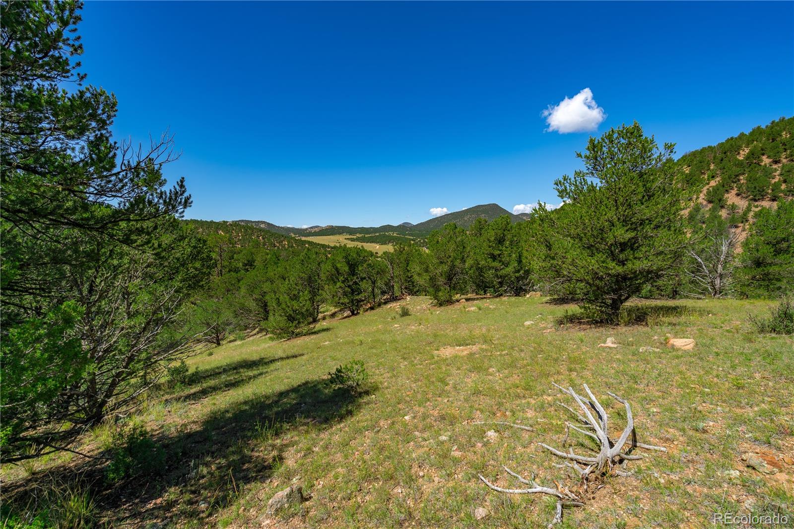 Lot 9 Sundance Road Cotopaxi, CO 81223 - Photo 4 of 32 a view of a big yard with swimming pool and green space
