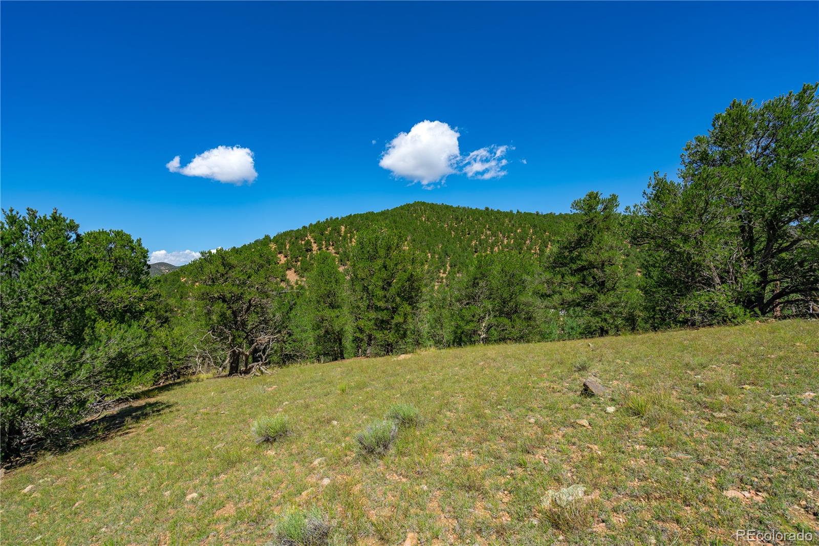 Lot 9 Sundance Road Cotopaxi, CO 81223 - Photo 6 of 32 a view of an empty room with a yard
