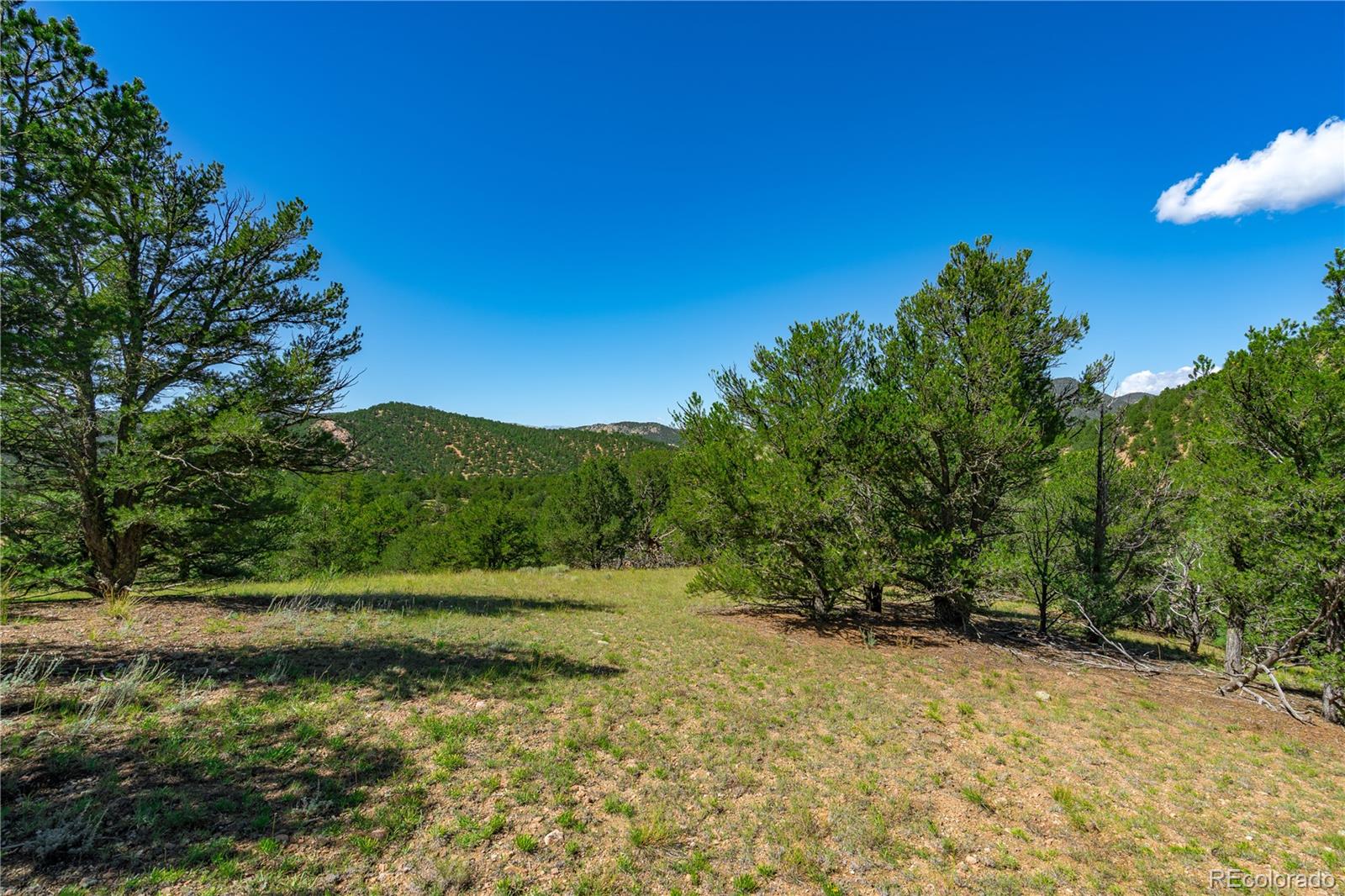 Lot 9 Sundance Road Cotopaxi, CO 81223 - Photo 9 of 32 a view of a field with a tree