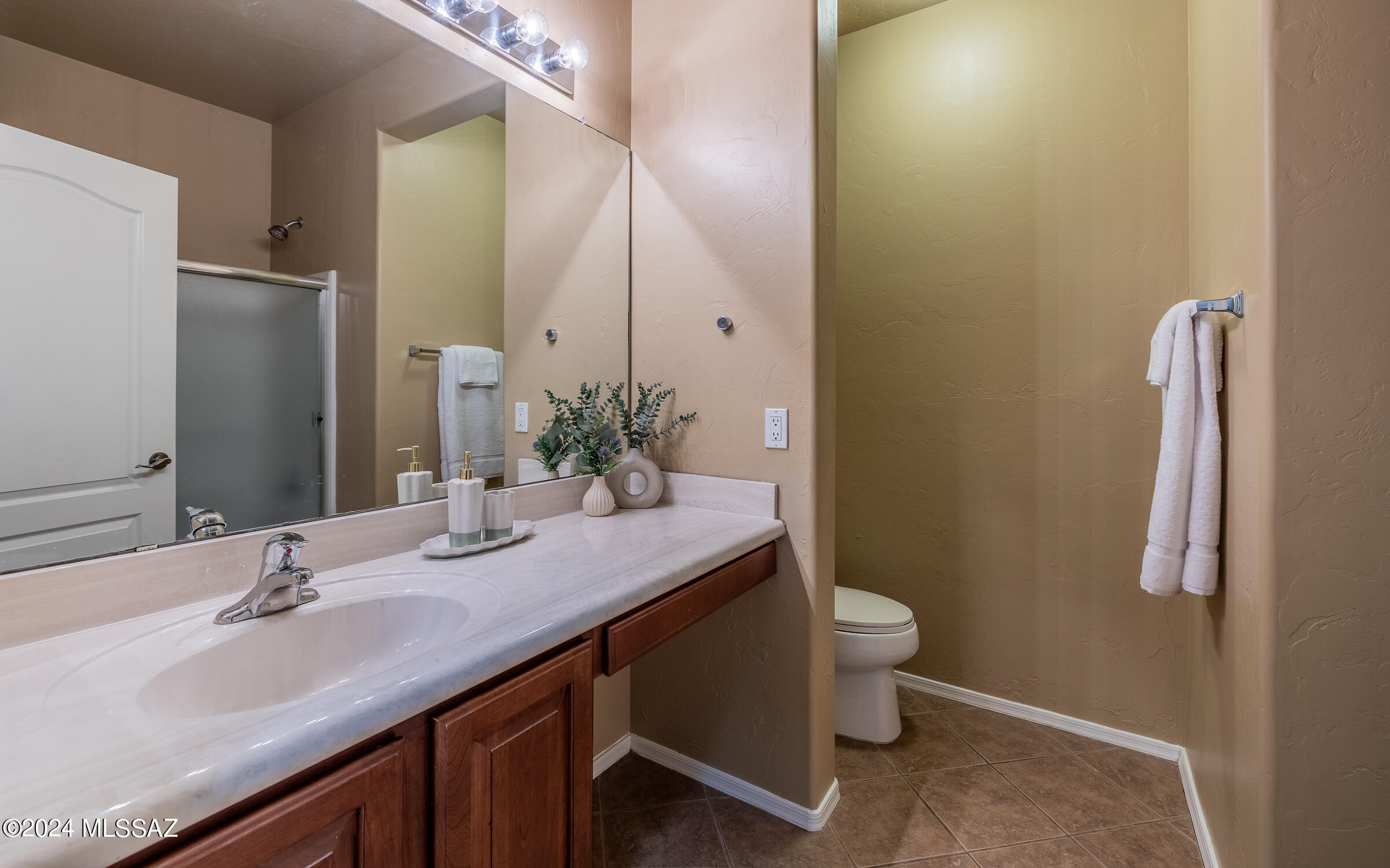 3629 East Fjord Pony Road Tucson, AZ 85739 - Photo 20 of 36
