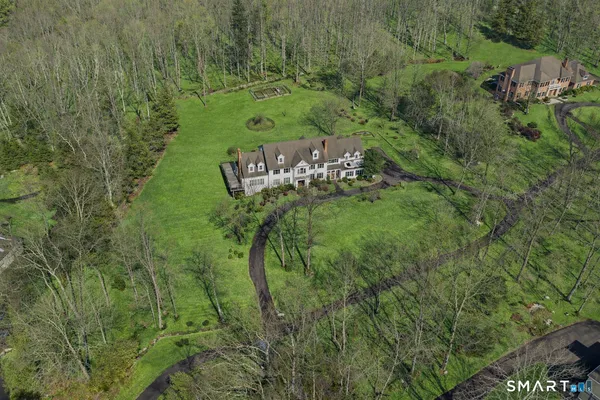 a view of a garden with a tree
