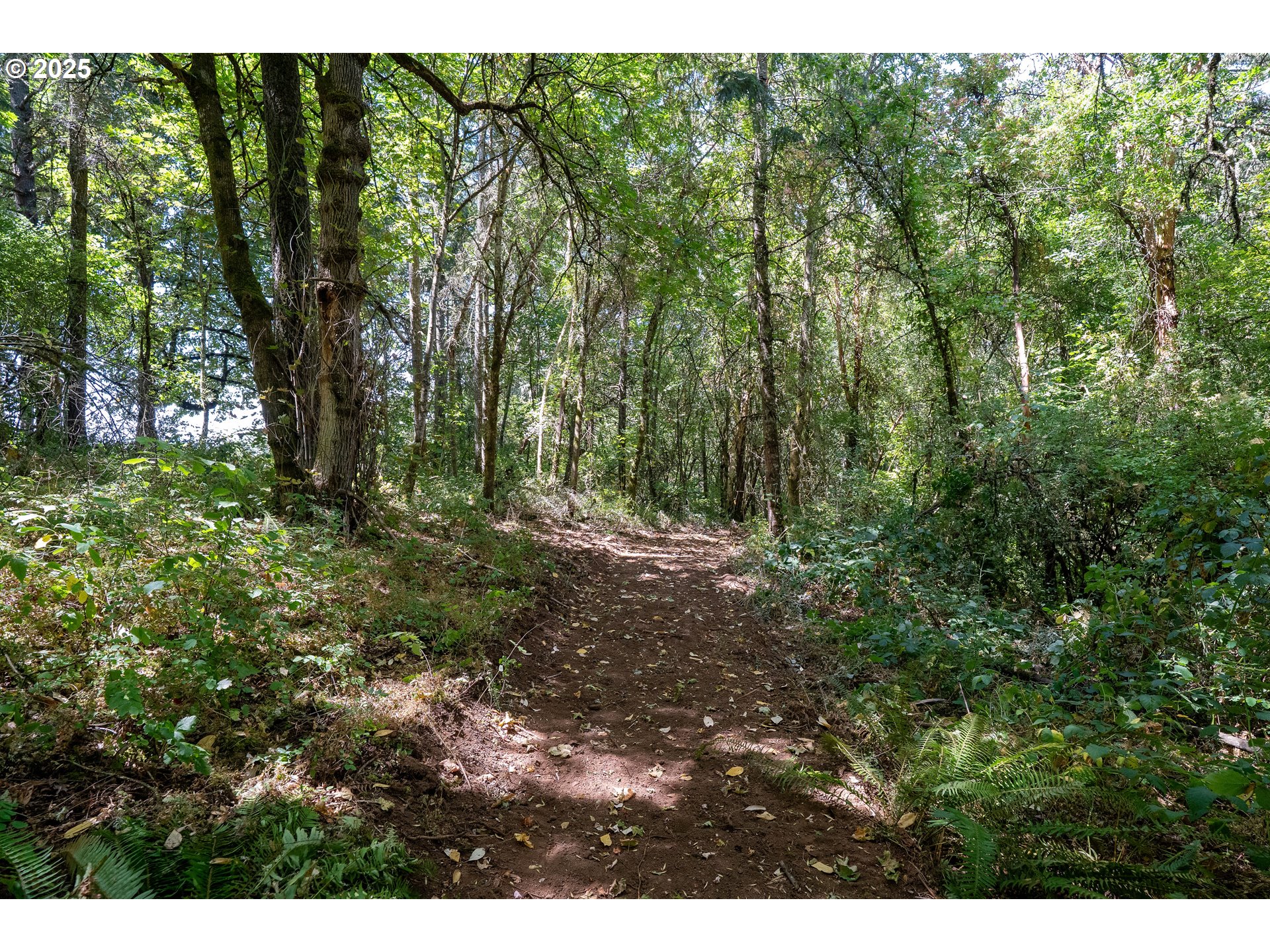 31795 Northeast Wilsonville Road Newberg, OR 97132 - Photo 10 of 26