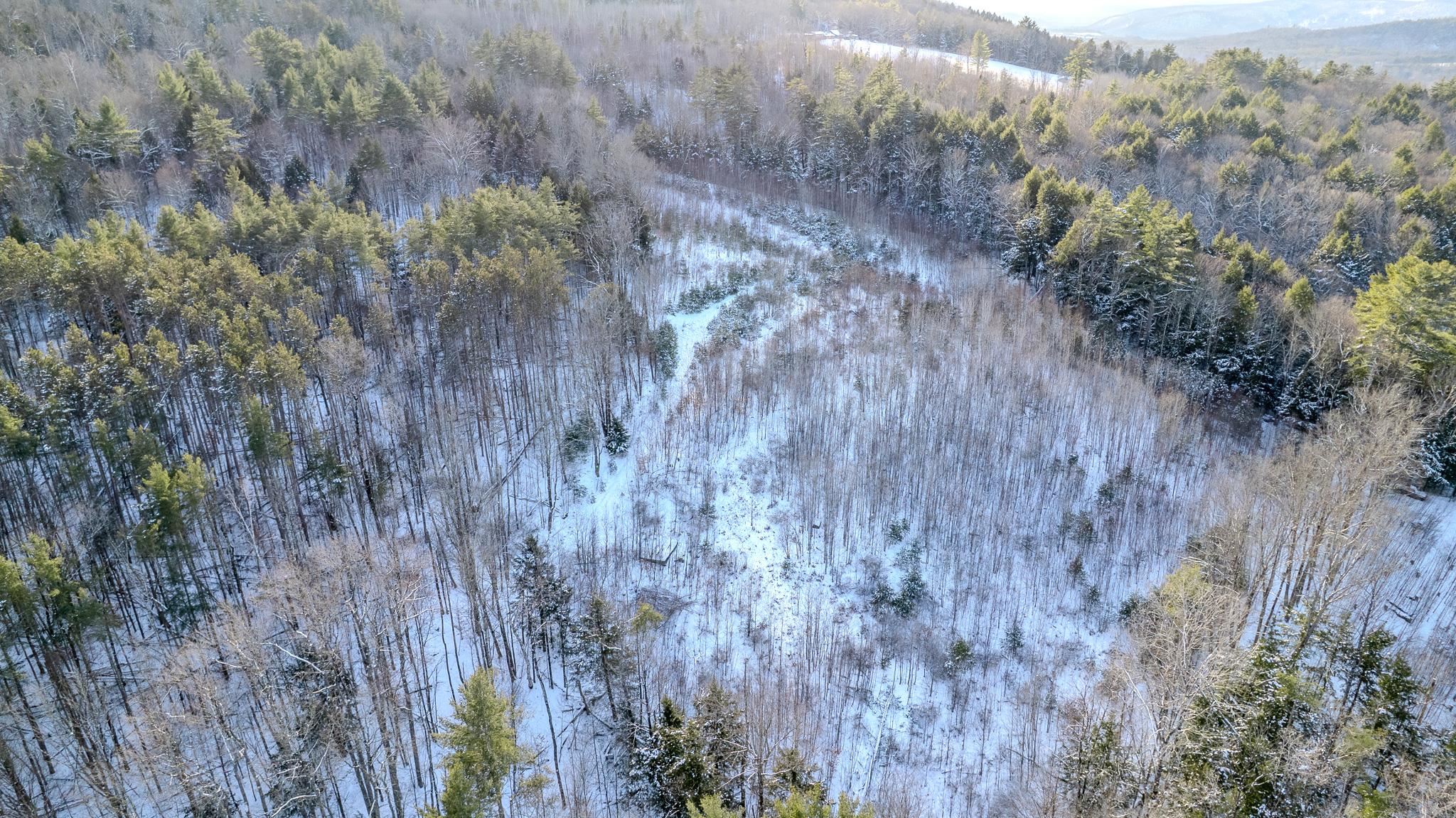 0 Route 123 Road Alstead, NH 03602 - Photo 9 of 13