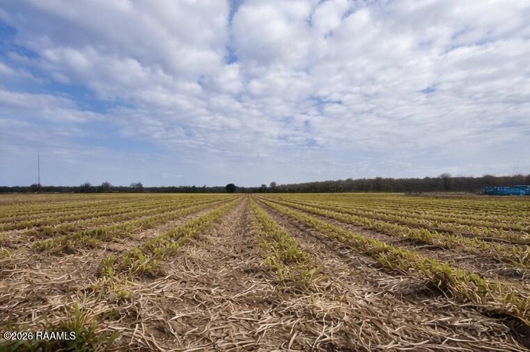 673 Yokley Road Franklin, LA 70538 - Photo 4 of 5 IMG_0467