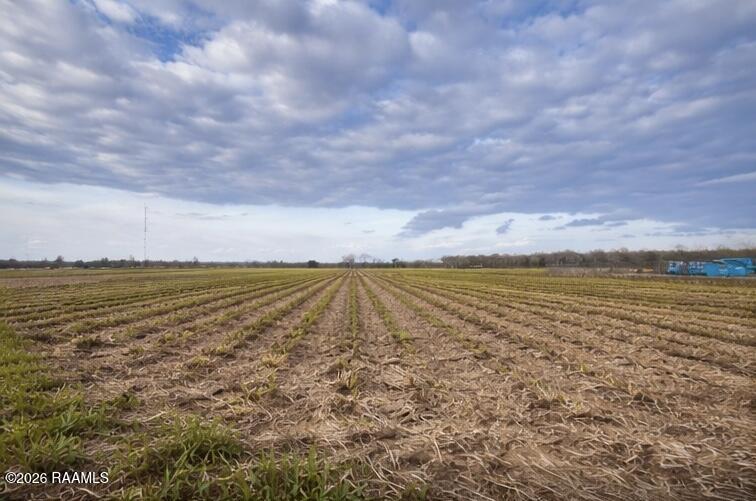 673 Yokley Road Franklin, LA 70538 - Photo 5 of 5 IMG_0466