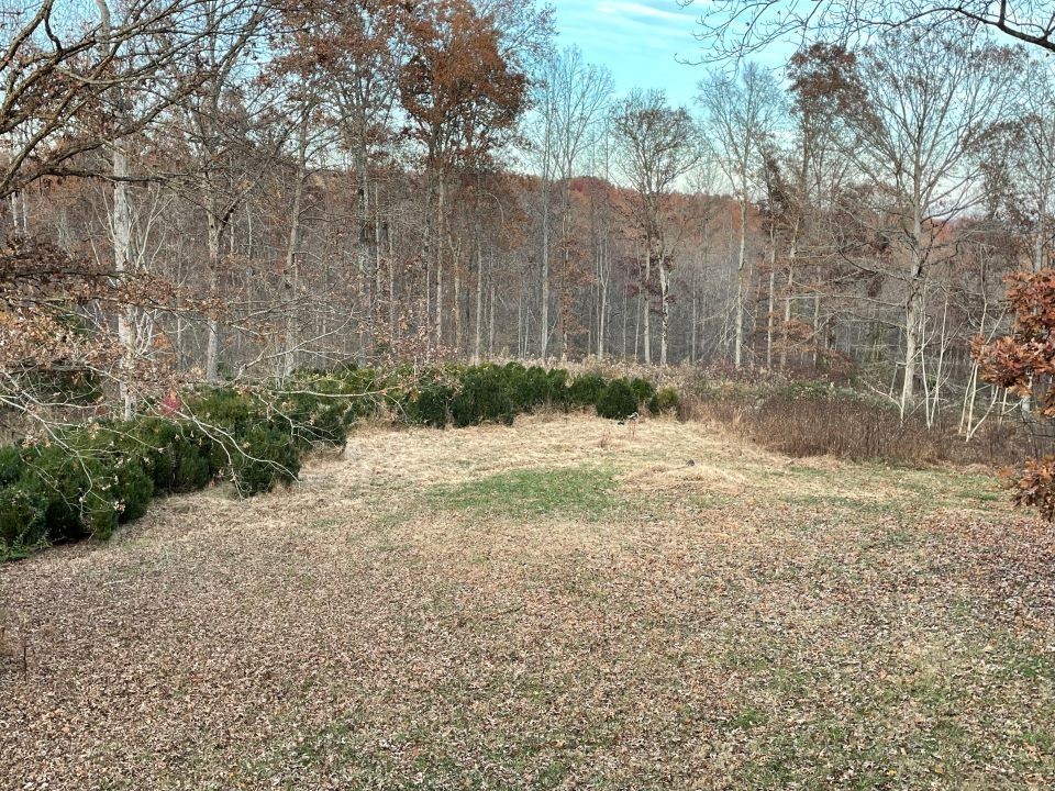 1172 Pack Road White Bluff, TN 37187 - Photo 22 of 24 Gallery Image 22