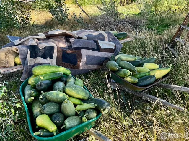 $1,200,000 | 55999 Highway 318, Maybell, CO 81640