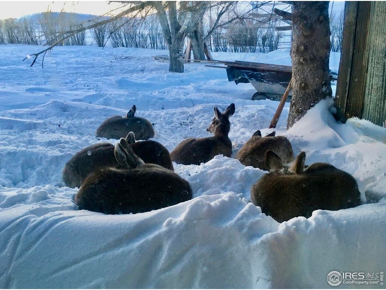 55999 Highway 318 Maybell, CO 81640 - Photo 38 of 50 a large bed sitting in a bedroom next to a brick house