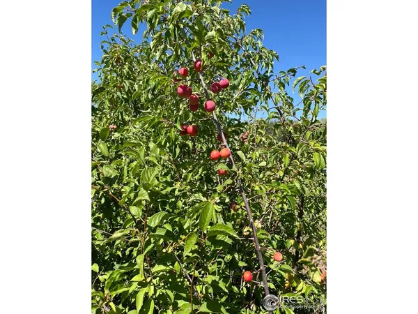 $1,200,000 | 55999 Highway 318, Maybell, CO 81640