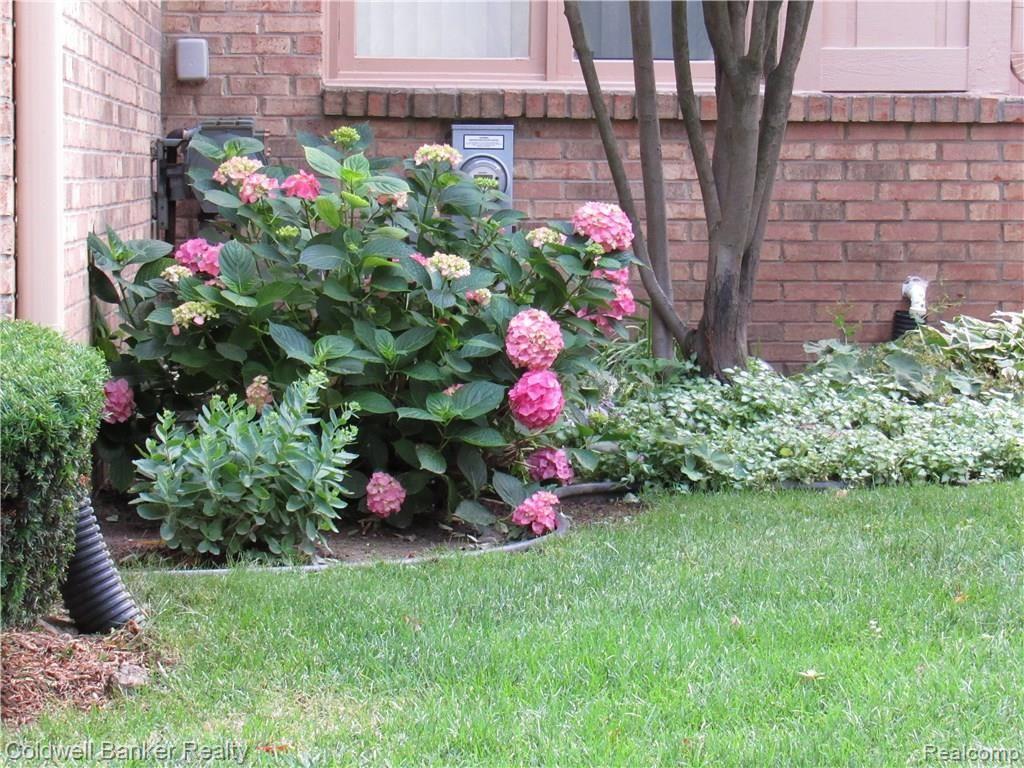22330 River Ridge Trail Farmington Hills, MI 48335 - Photo 2 of 35