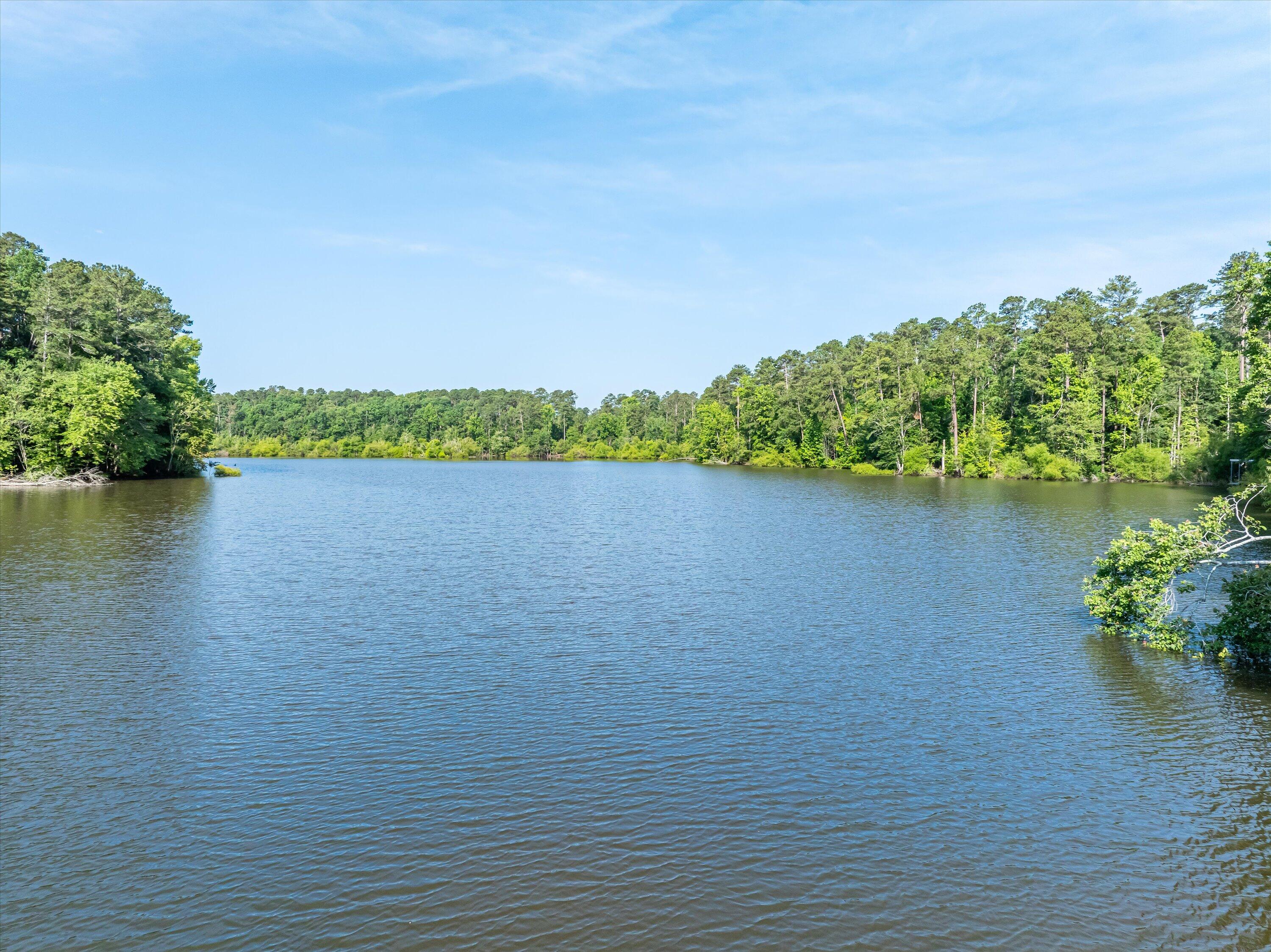 1036 Longleaf Way Lincolnton, GA 30817 - Photo 52 of 67 09-DJI_0581-HDR
