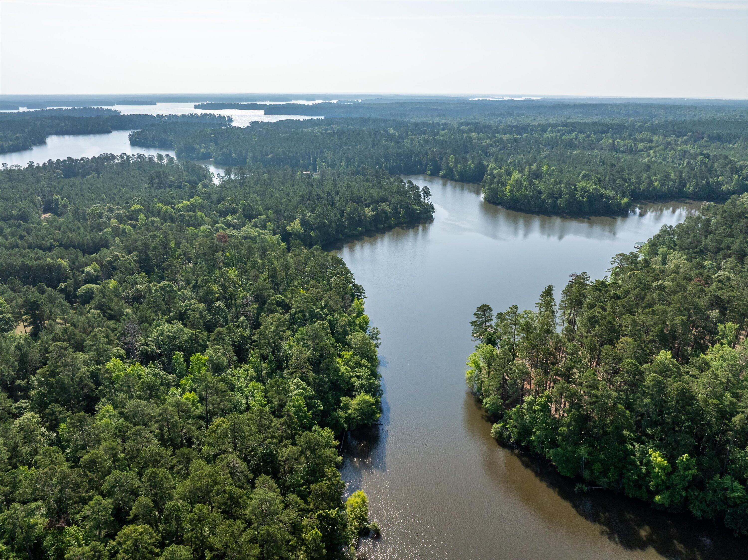 1036 Longleaf Way Lincolnton, GA 30817 - Photo 55 of 67 11-DJI_0587-HDR