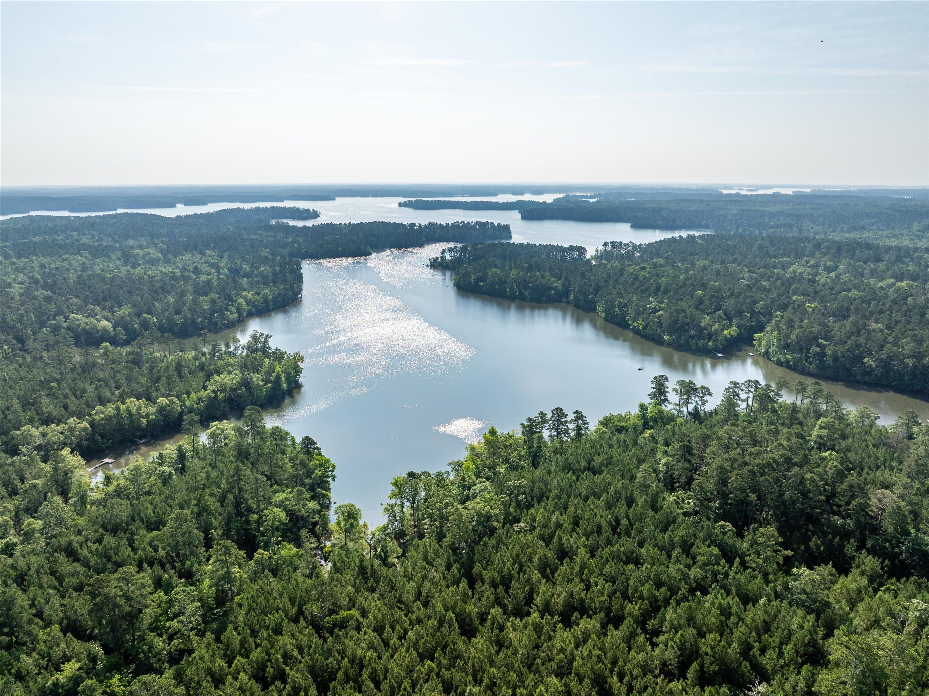 1036 Longleaf Way Lincolnton, GA 30817 - Photo 58 of 67 19-DJI_0611-HDR