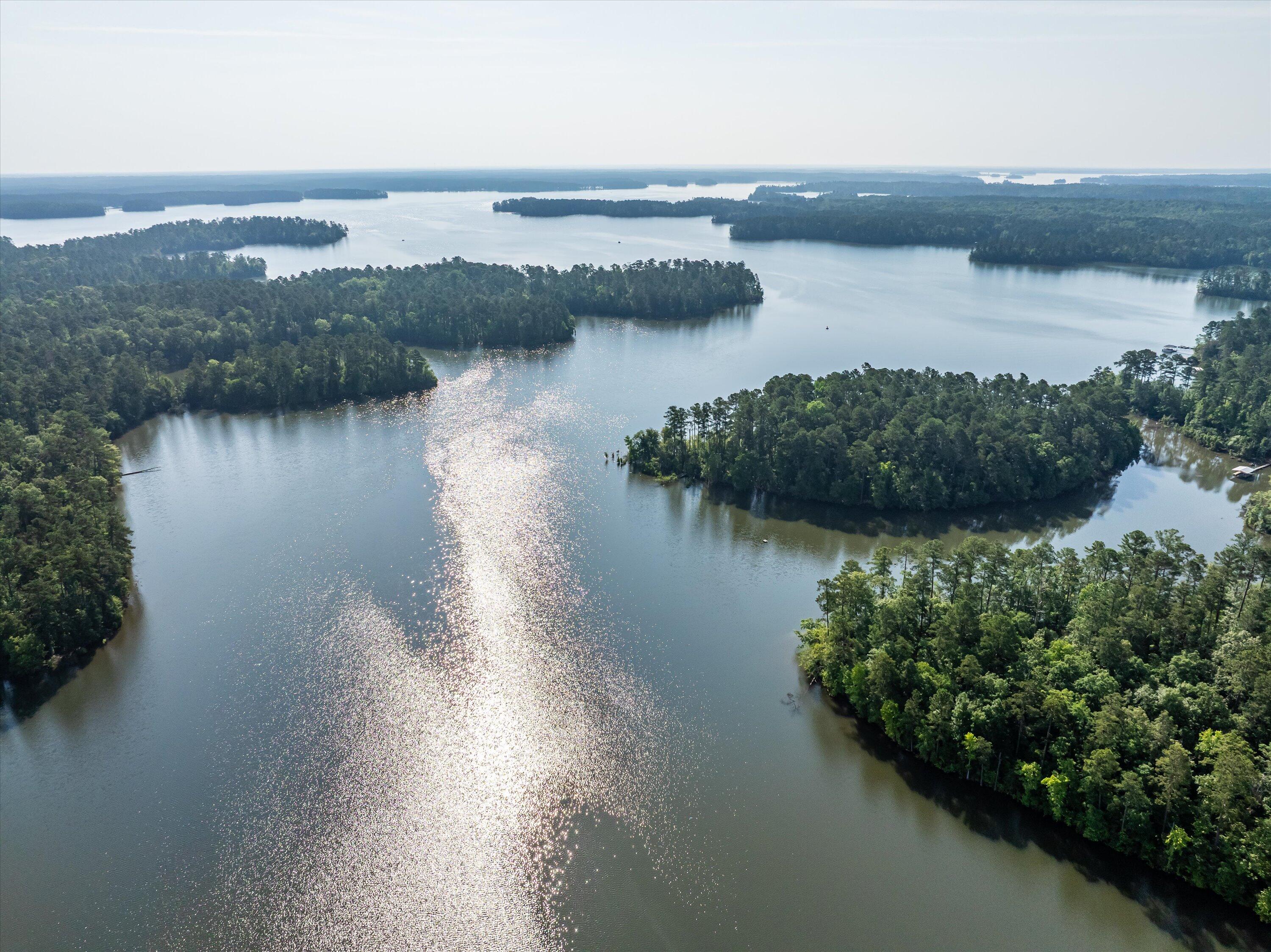 1036 Longleaf Way Lincolnton, GA 30817 - Photo 60 of 67 22-DJI_0620-HDR