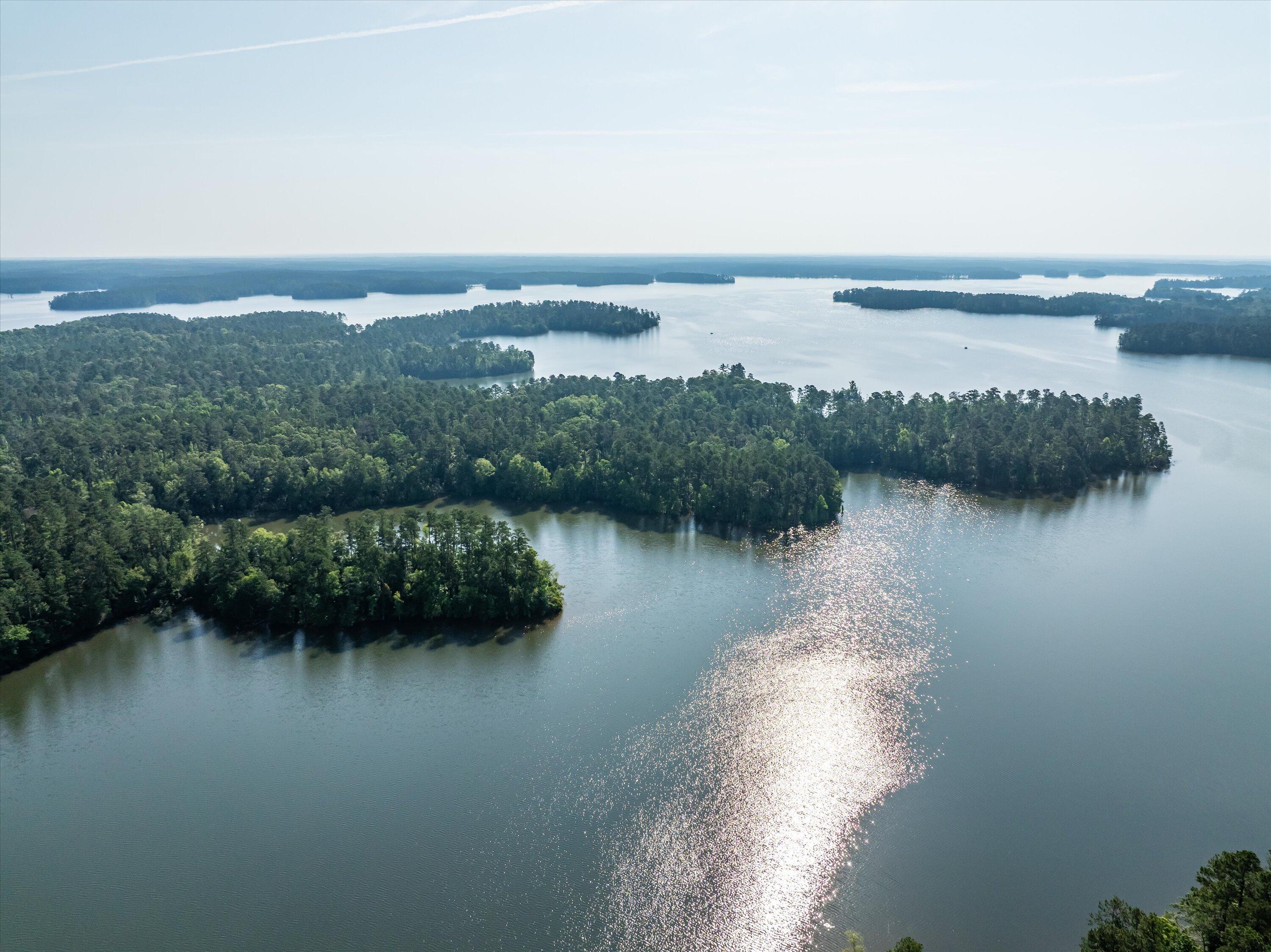 1036 Longleaf Way Lincolnton, GA 30817 - Photo 61 of 67 23-DJI_0623-HDR