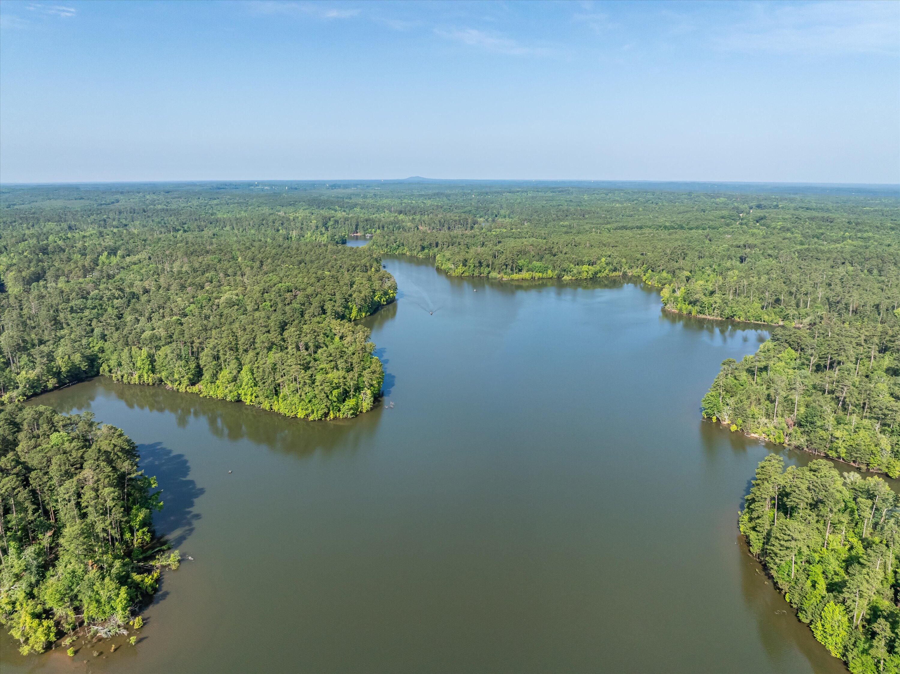 1036 Longleaf Way Lincolnton, GA 30817 - Photo 62 of 67 25-DJI_0629-HDR