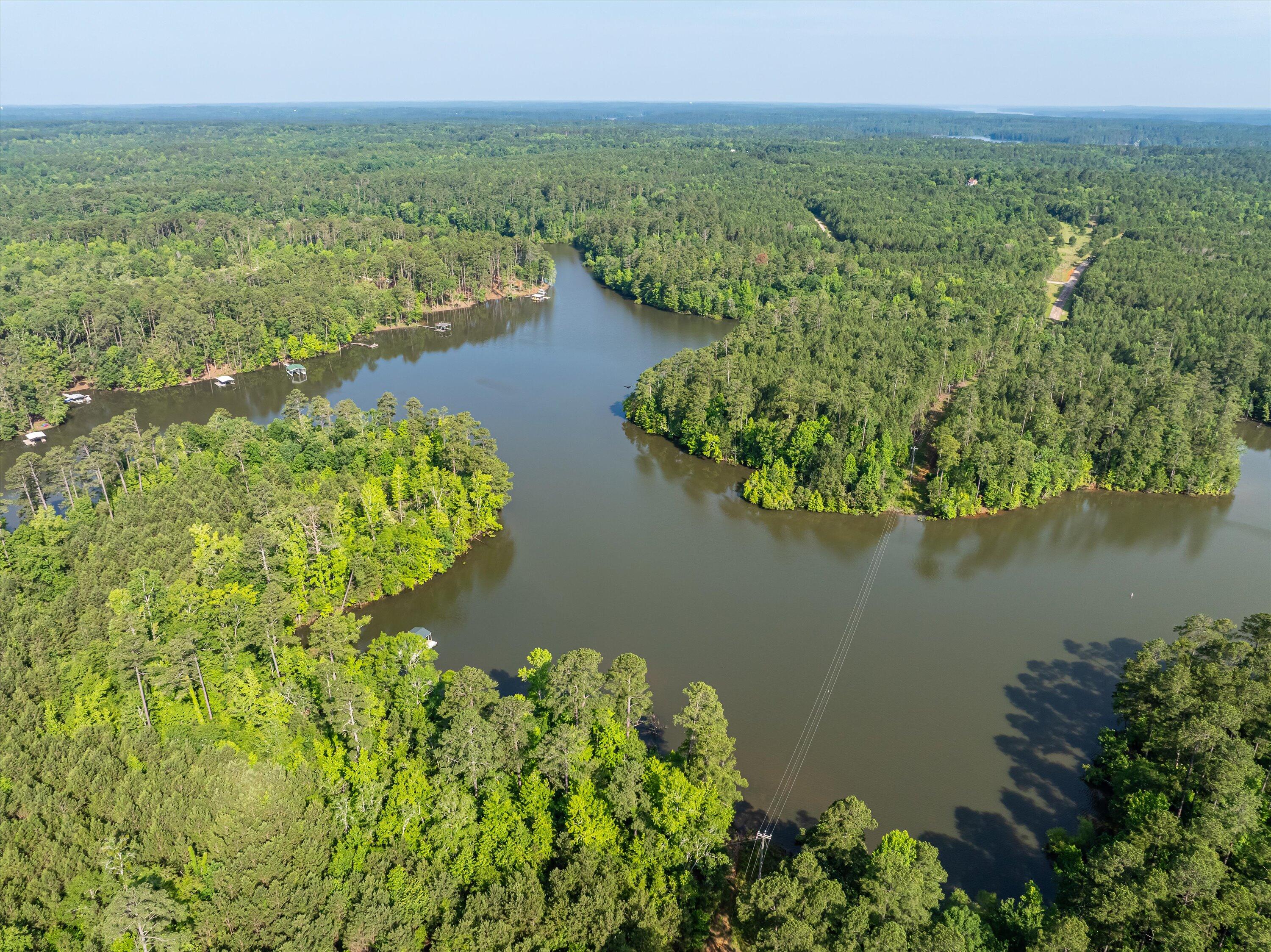 1036 Longleaf Way Lincolnton, GA 30817 - Photo 63 of 67 28-DJI_0638-HDR