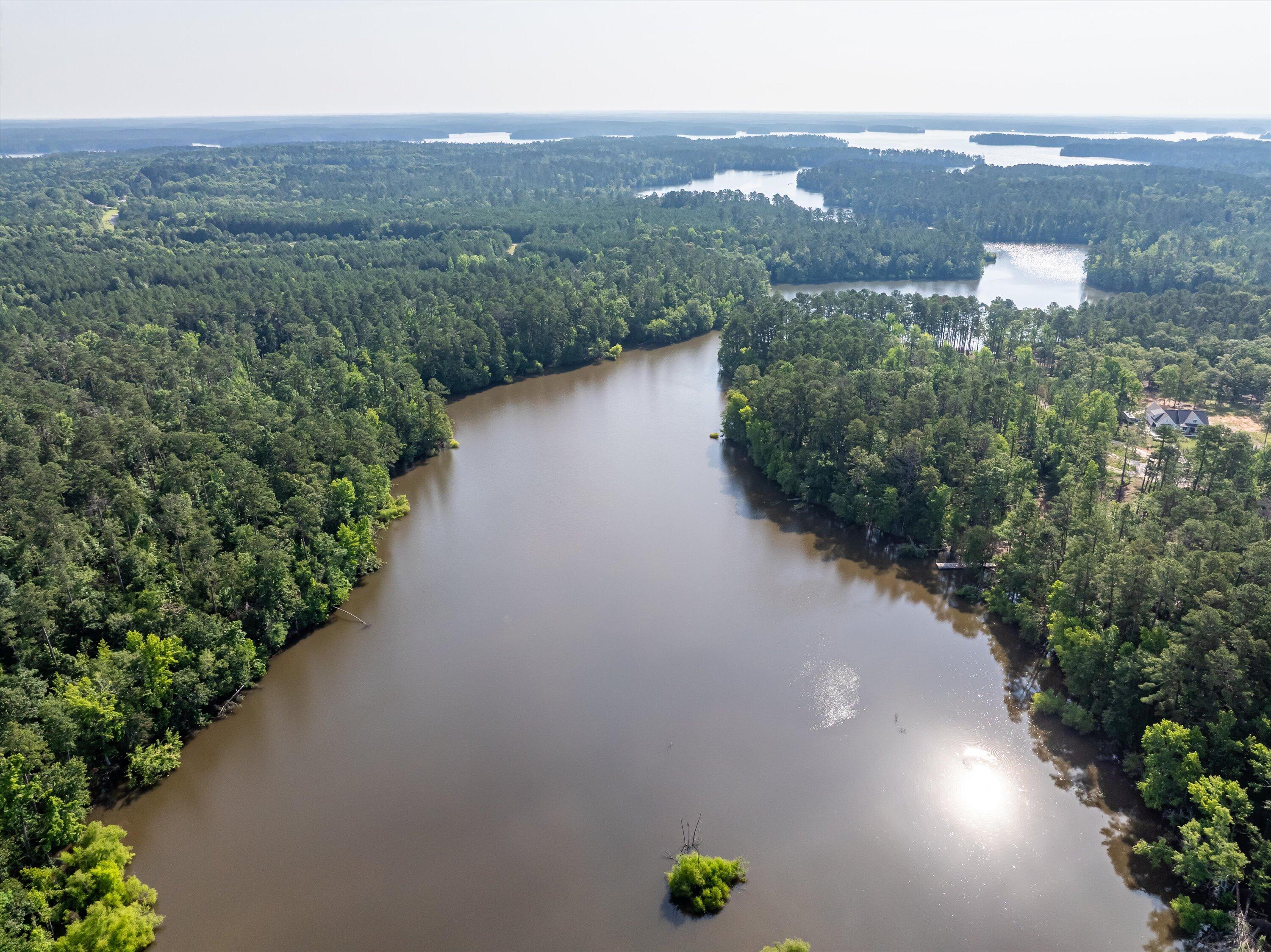 1036 Longleaf Way Lincolnton, GA 30817 - Photo 67 of 67 32-DJI_0650-HDR