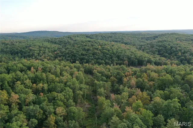 $330,000 | Tbd Tbd Highway, Annapolis, MO 63620