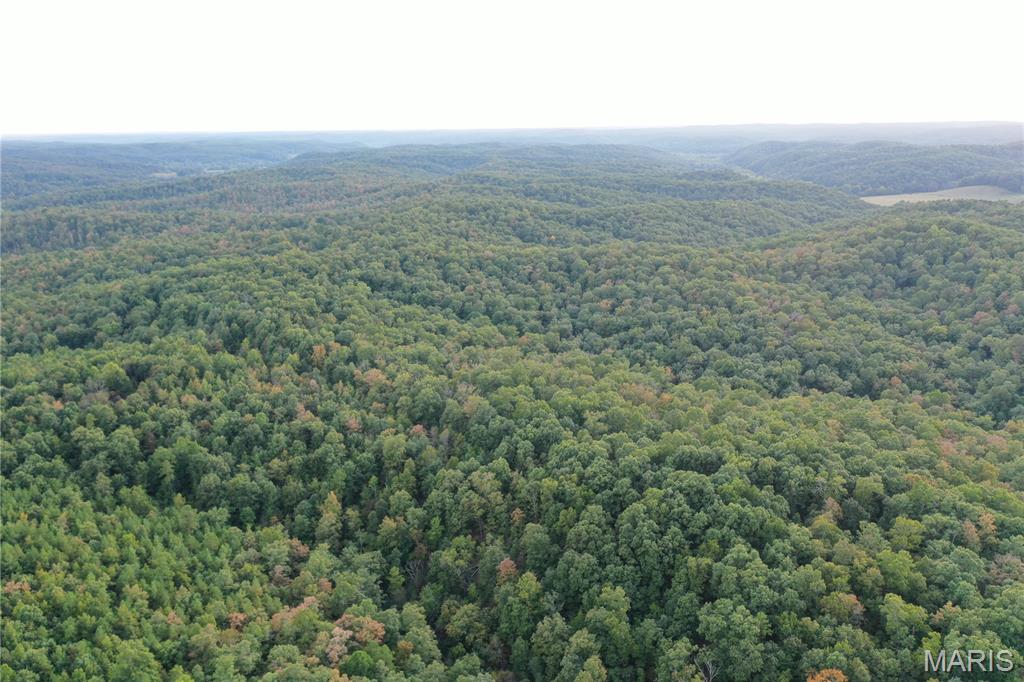 Tbd Tbd Highway Annapolis, MO 63620 - Photo 22 of 67