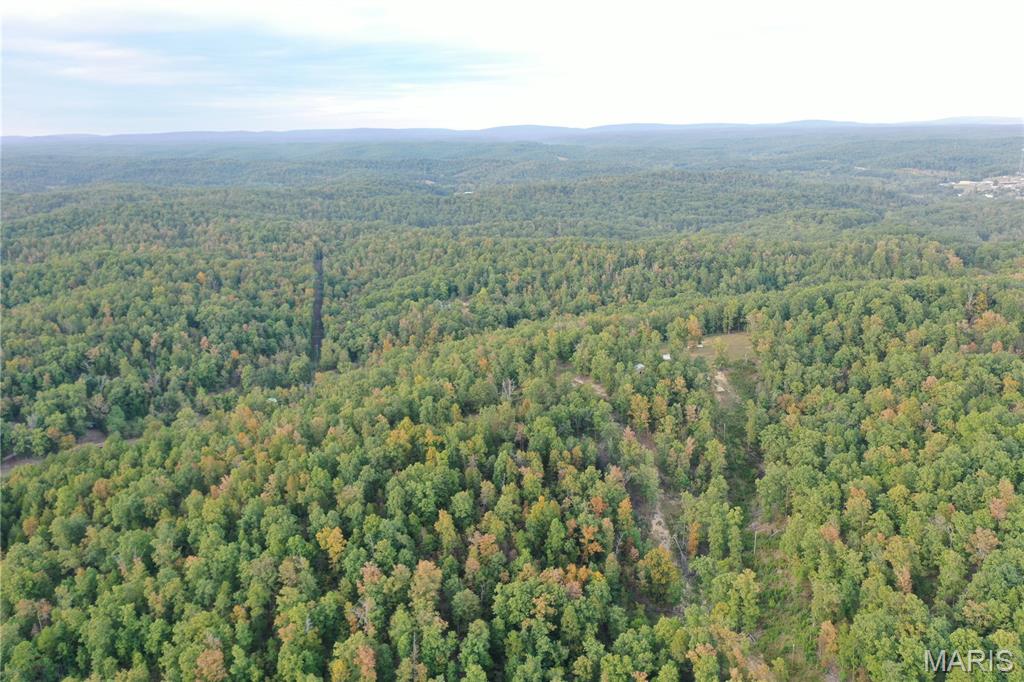 Tbd Tbd Highway Annapolis, MO 63620 - Photo 24 of 67