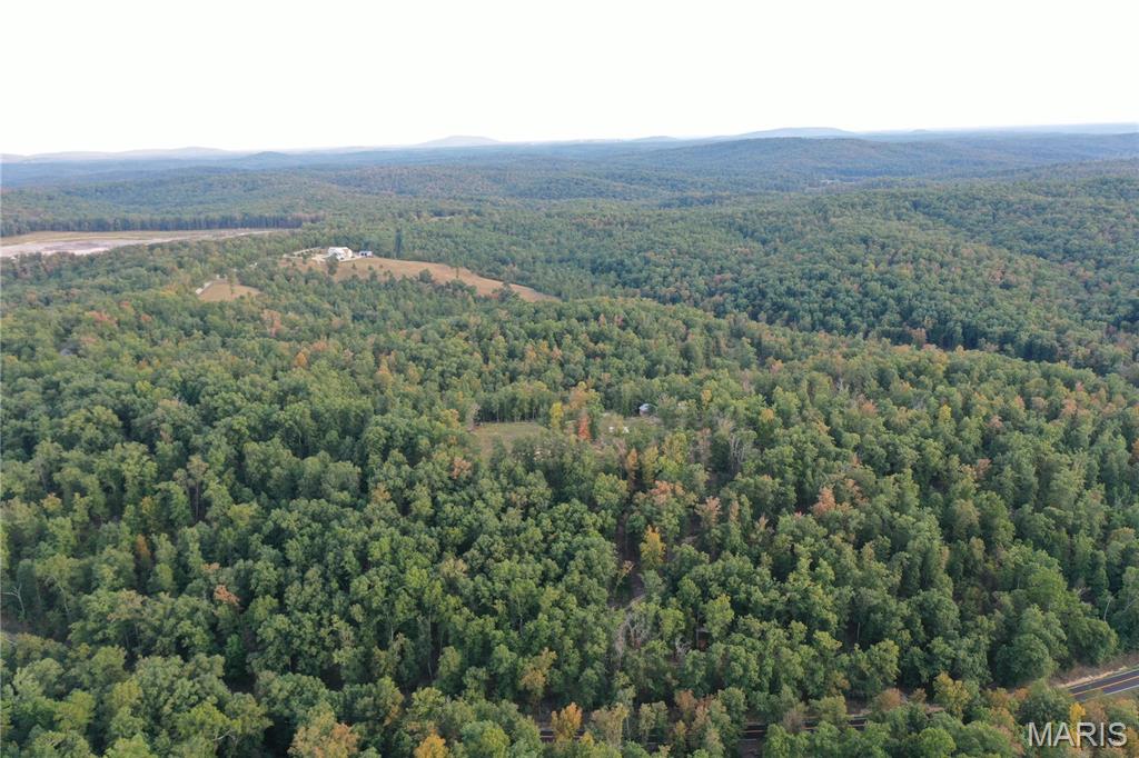 Tbd Tbd Highway Annapolis, MO 63620 - Photo 28 of 67