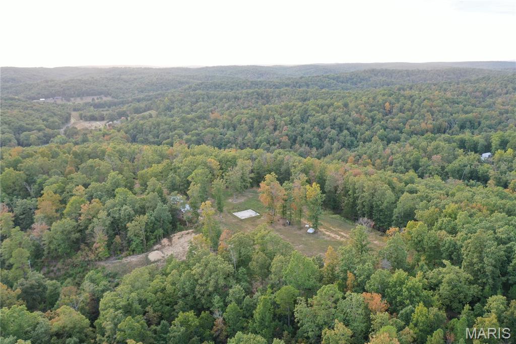 Tbd Tbd Highway Annapolis, MO 63620 - Photo 33 of 67