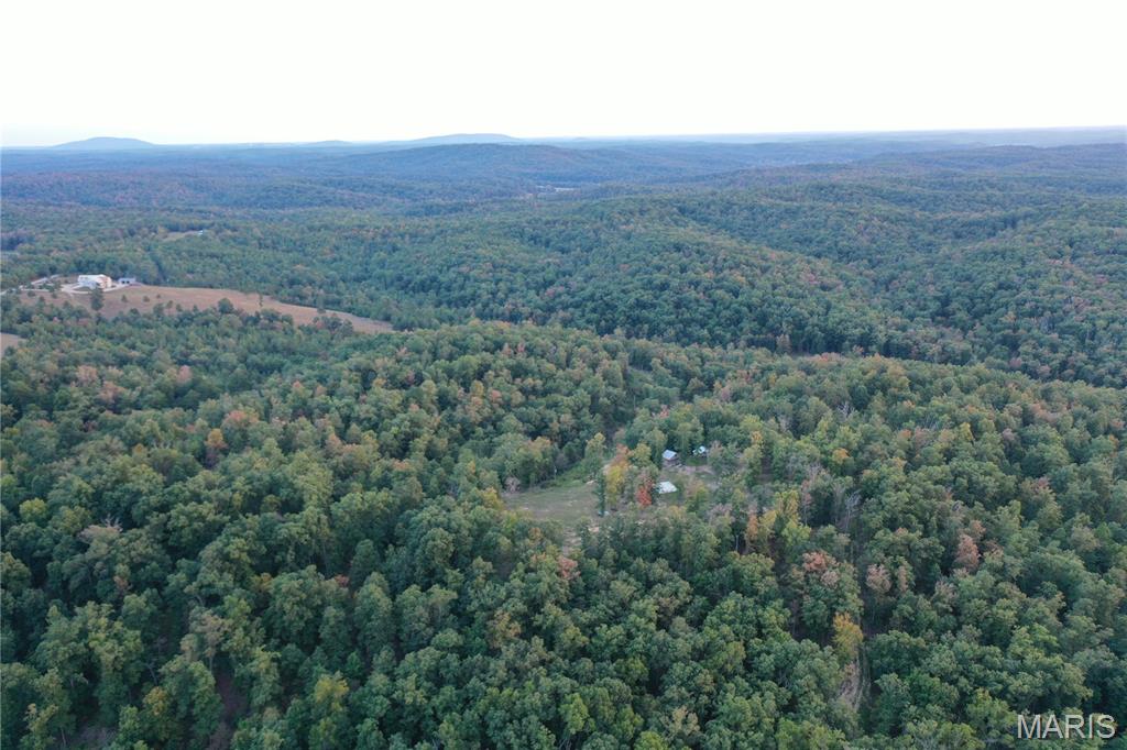 Tbd Tbd Highway Annapolis, MO 63620 - Photo 44 of 67