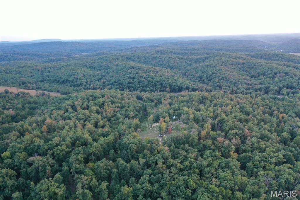 Tbd Tbd Highway Annapolis, MO 63620 - Photo 45 of 67