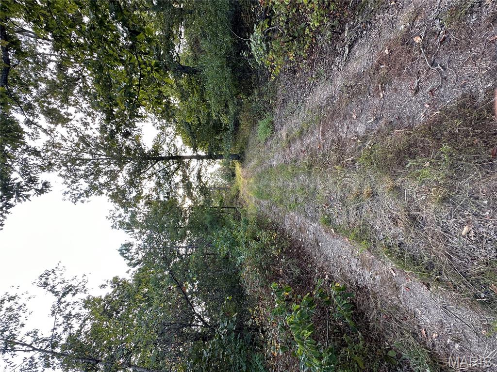 Tbd Tbd Highway Annapolis, MO 63620 - Photo 48 of 67