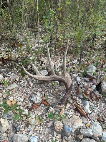 $330,000 | Tbd Tbd Highway, Annapolis, MO 63620