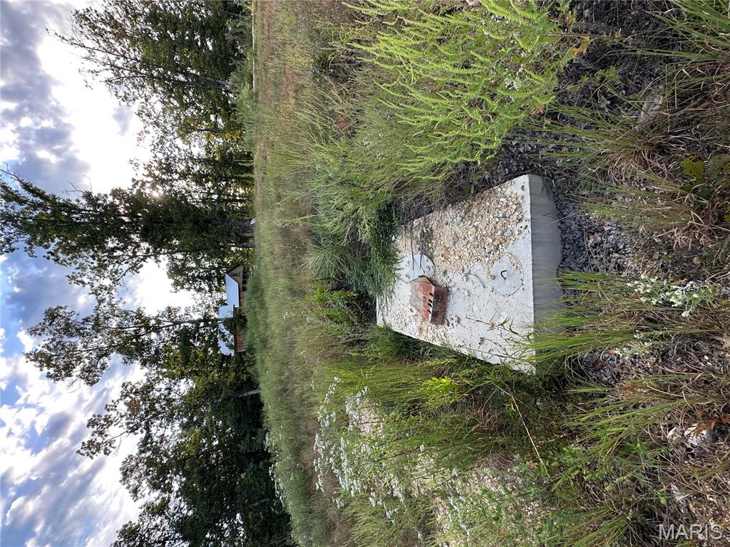 Tbd Tbd Highway Annapolis, MO 63620 - Photo 51 of 67