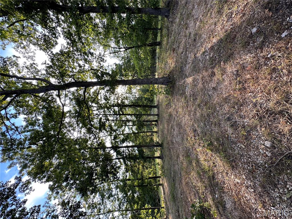 Tbd Tbd Highway Annapolis, MO 63620 - Photo 60 of 67