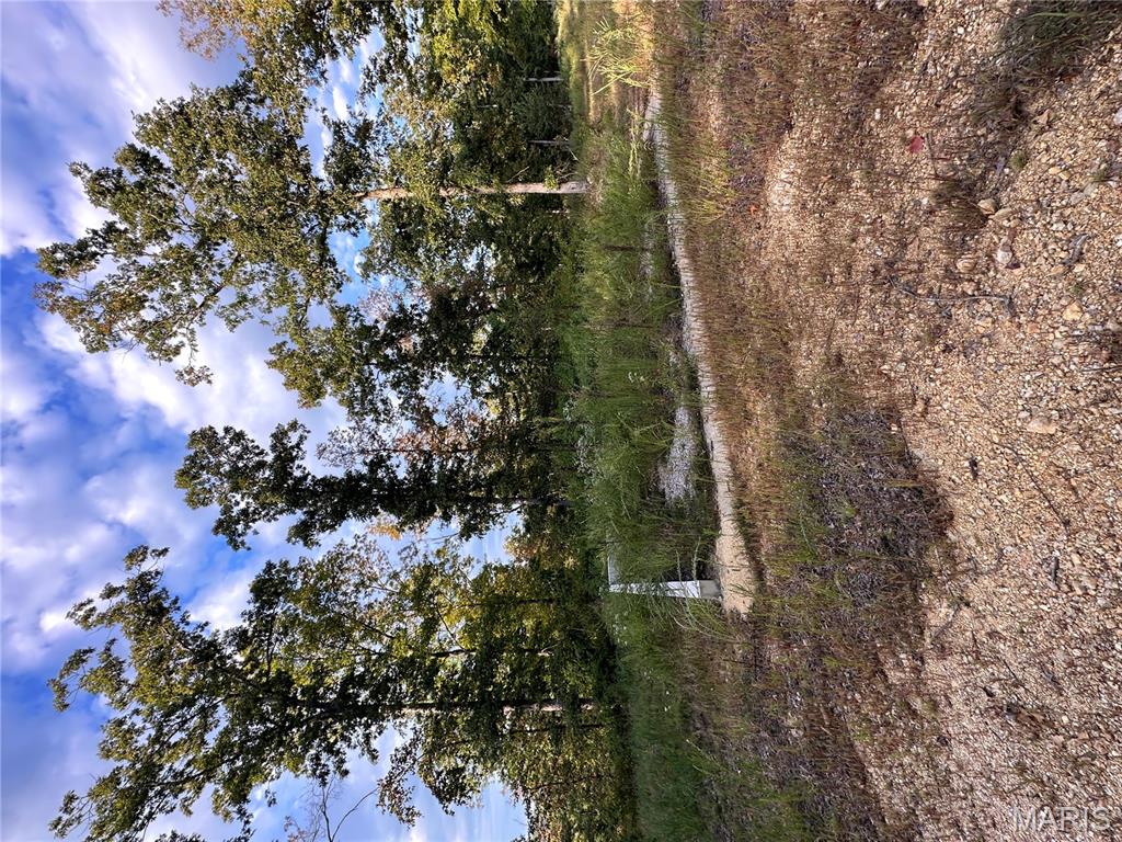 Tbd Tbd Highway Annapolis, MO 63620 - Photo 61 of 67