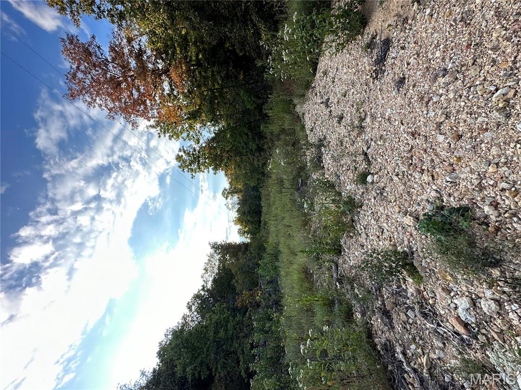 Tbd Tbd Highway Annapolis, MO 63620 - Photo 62 of 67