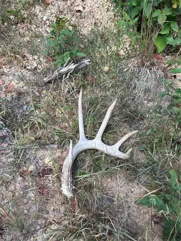 $330,000 | Tbd Tbd Highway, Annapolis, MO 63620