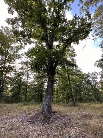 $330,000 | Tbd Tbd Highway, Annapolis, MO 63620